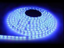 TASMA 300 SMD LED WODOODPORNA 5M - NIEBIESKA